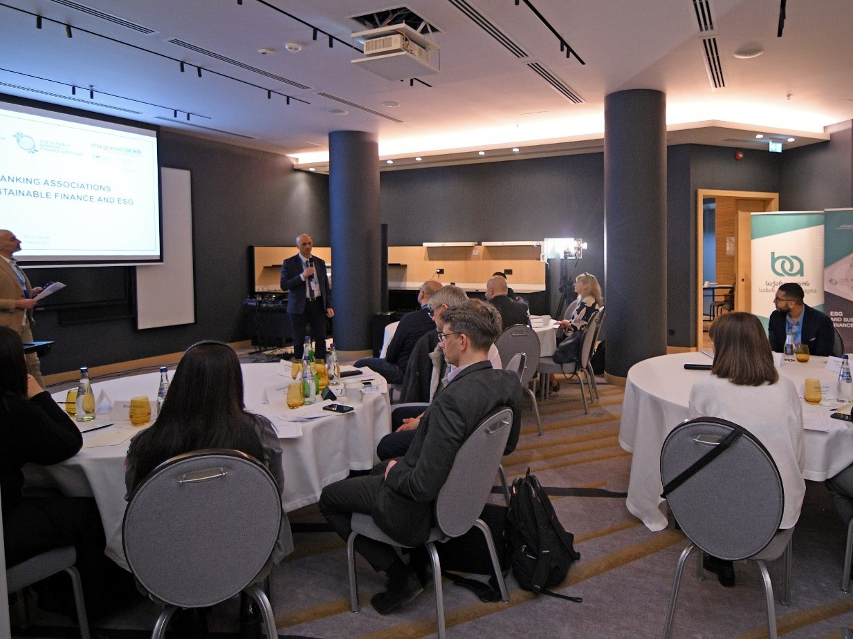 შეხვედრა მდგრადი დაფინანსებისა და გარემოსდაცვით, სოციალურ და მმართველობით (ESG) თემაზე